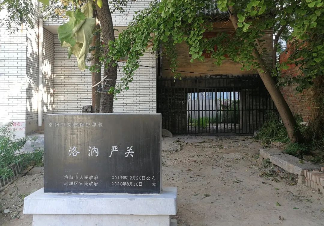 1661160676662021263.png tem.png