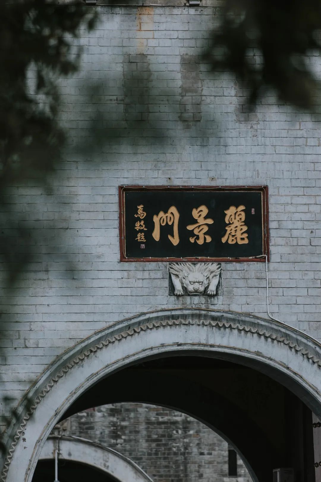 1665631195955036123.png tem.png