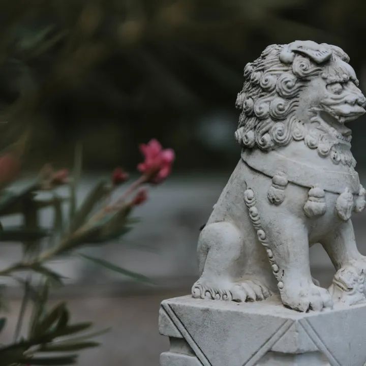 1665631208509086372.png tem.png