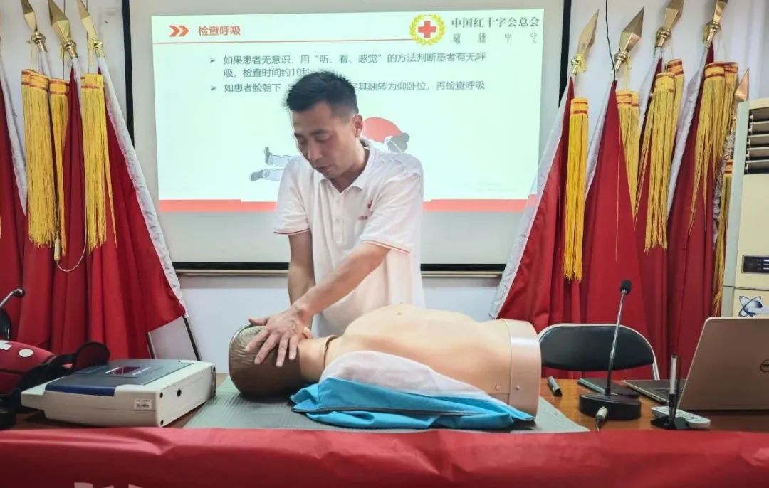 1753779256382027006.png tem.png