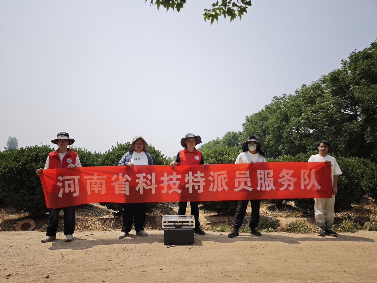 1748941259554802.png 图片2.png