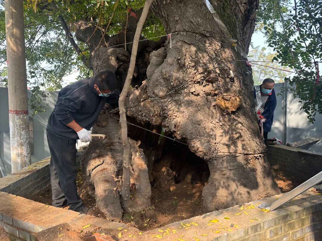 1762394128727725.jpg 640.jpg