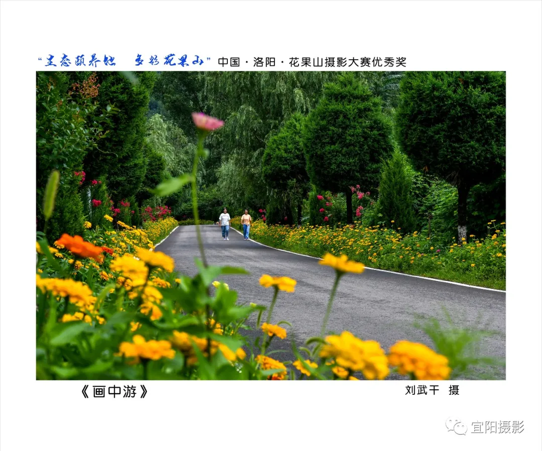 1609400275162003513.jpg