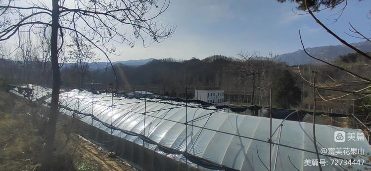 1676611217910030861.png tem.png