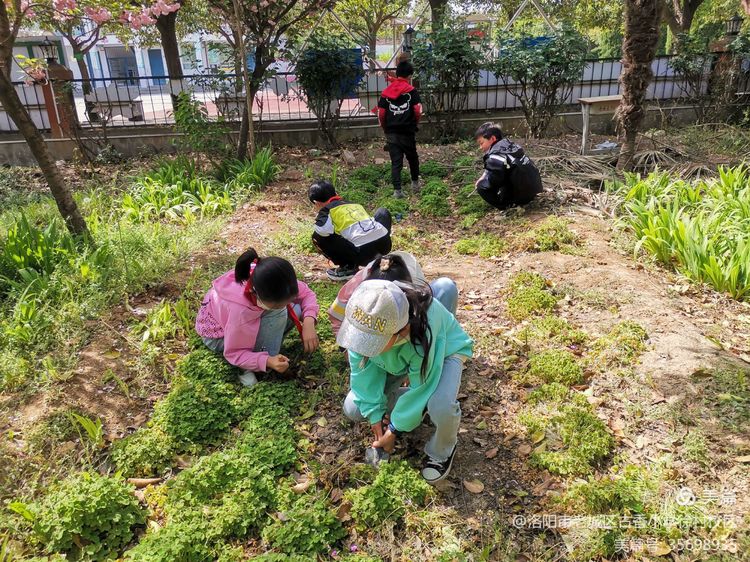 古香小学拙耕园 (1).jpg 古香小学拙耕园 (1).jpg