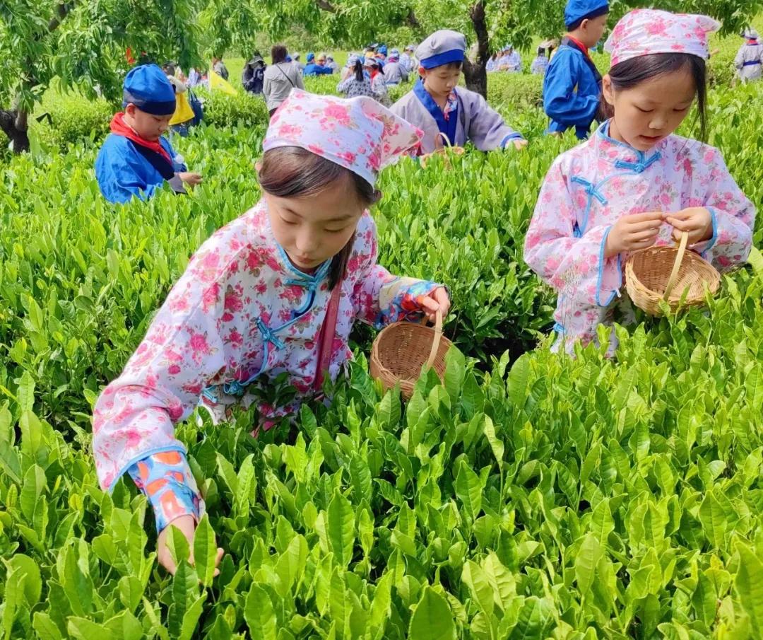 图片4.jpg