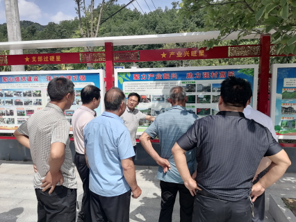参观学习先进经验  提升乡村治理水平(1)319.png