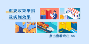重要政策举措及实施效果