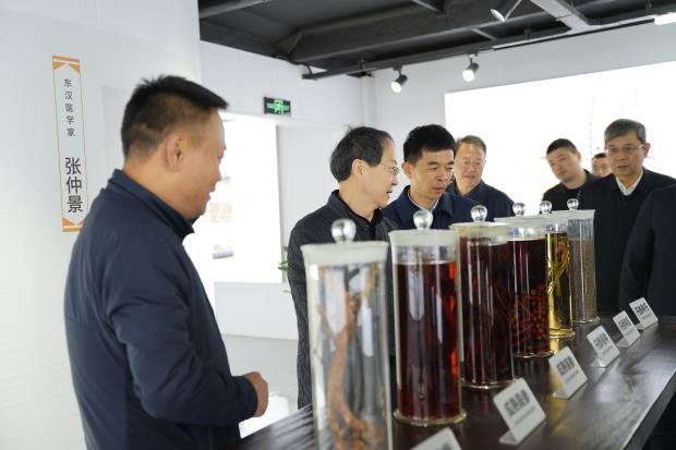 省农业农村厅厅长孙巍峰来洛调研乡村振兴工作