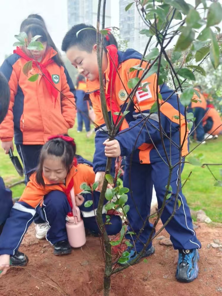 少年闪闪发光，扬帆2025！