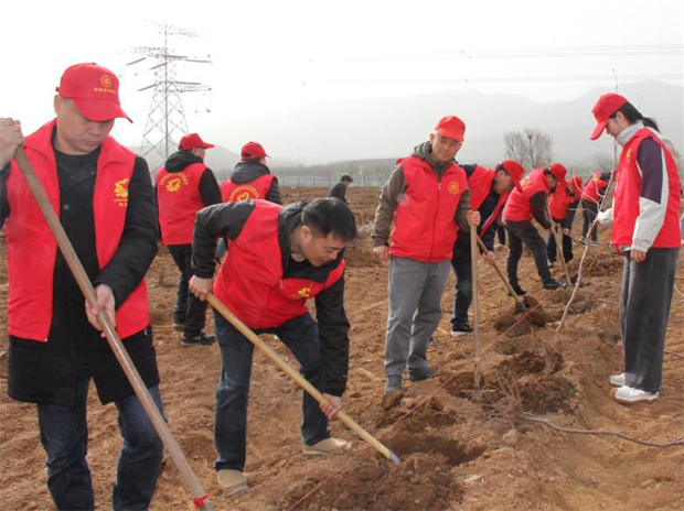 洛阳市农业农村局组织义务植树活动