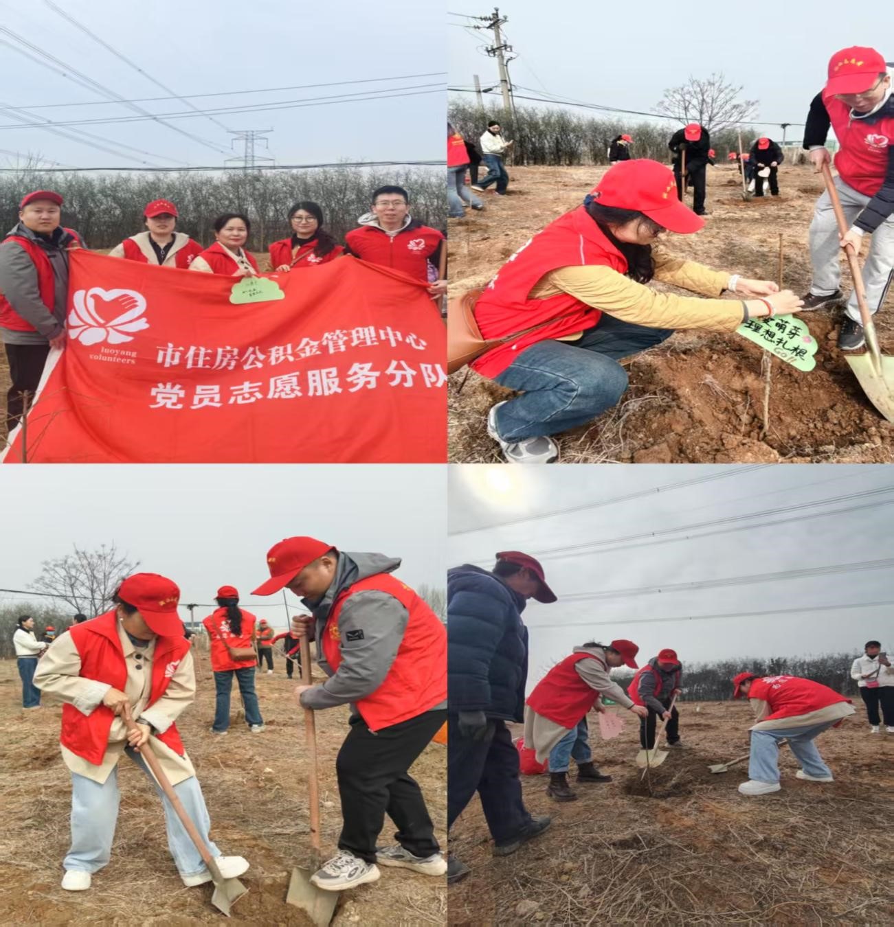 植树造林添新绿 共建美丽新家园 植树造林添新绿 共建美丽新家园