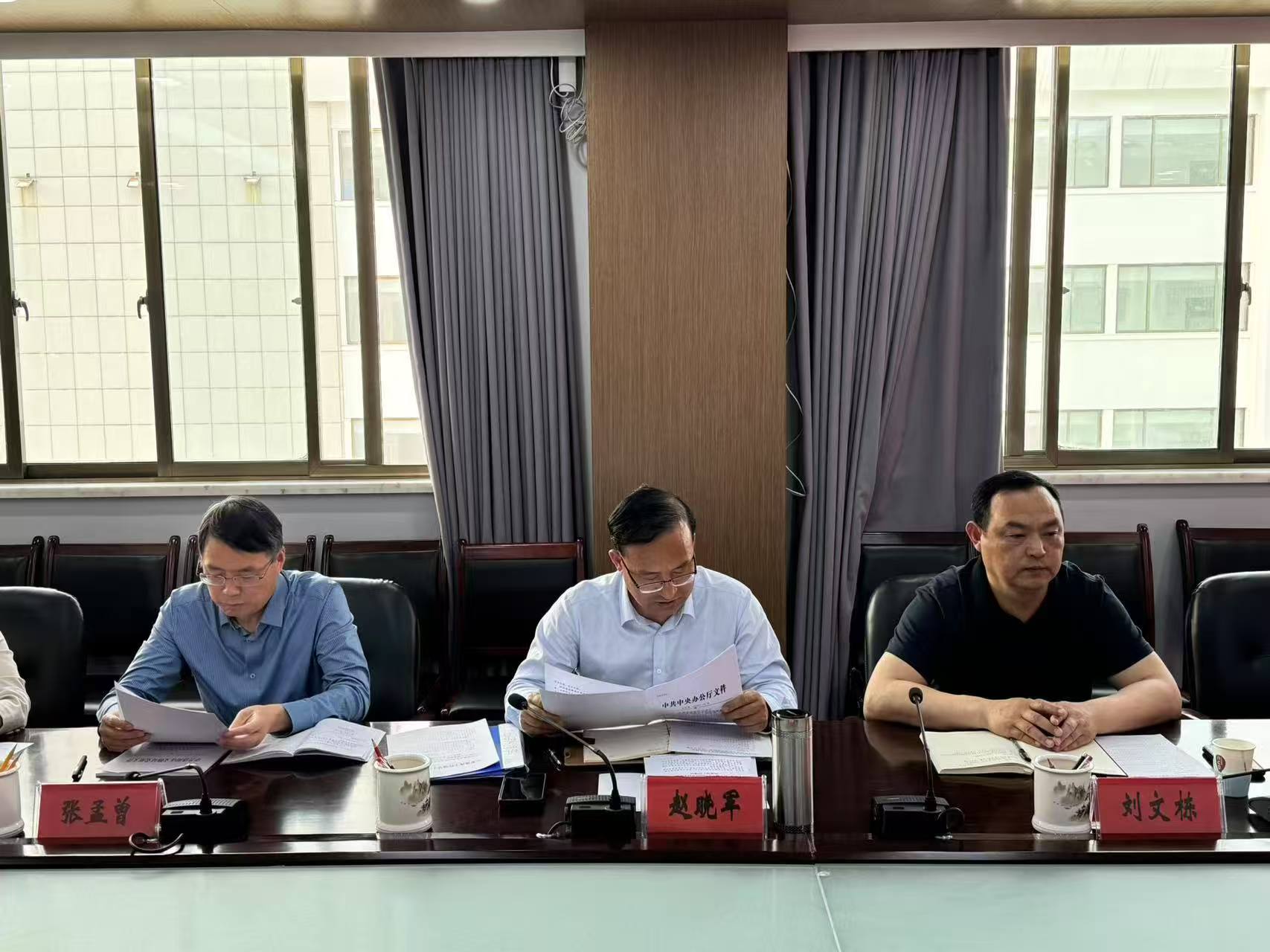 洛阳市文物局召开巡察整改工作推进会 洛阳市文物局召开巡察整改工作推进会