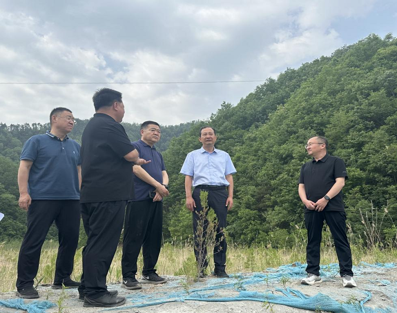 马怀庆到栾川县检查安全生产隐患大排查和尾矿库综合治理工作