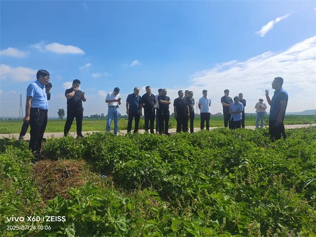 【市种业中心】助力精准帮扶中药材产业 开出增收良方