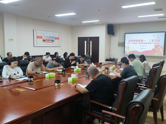 深学笃行 凝心聚力——洛阳博物馆第一、二党支部开展政治理论学习暨研讨交流