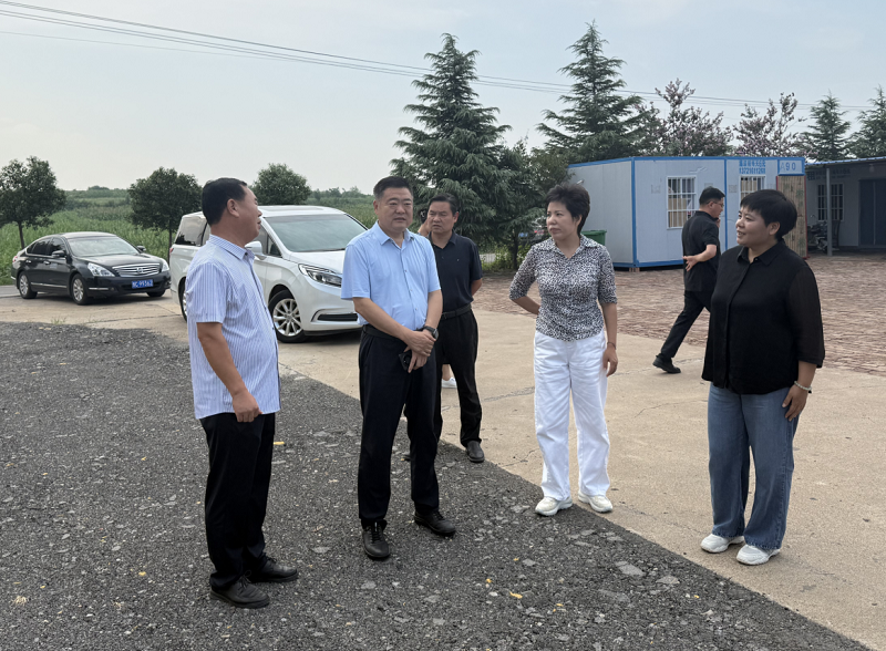 马怀庆到汝阳县调研安全生产和打非治违工作 马怀庆到汝阳县调研安全生产和打非治违工作