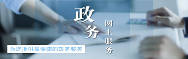 政务服务网