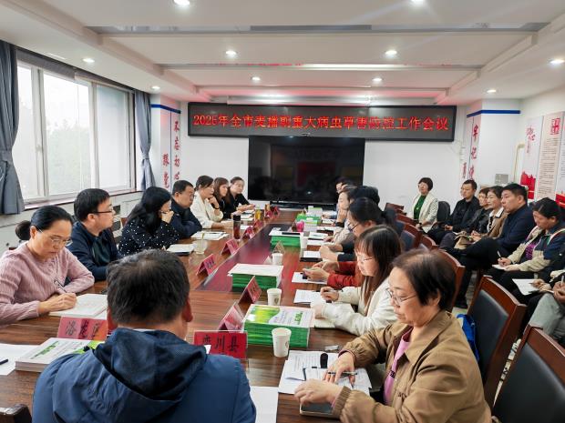 全市召开2025年麦播期重大病虫草害防控工作会议
