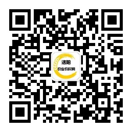 政府信息公开指南