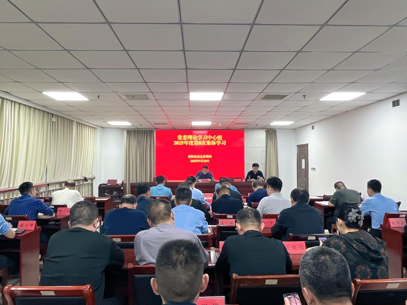 洛阳市应急管理局理论学习中心组举行2025年第8次集体学习