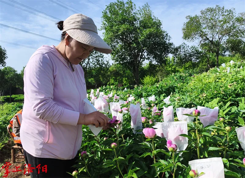 22194138_3560.jpg GetAttachment - 2025-09-22T194101.114_副本.jpg