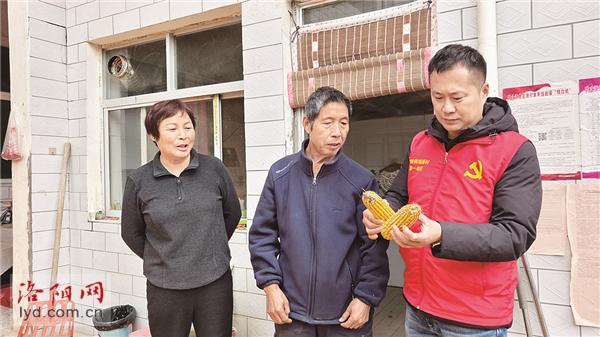 洛阳市文物局驻村第一书记李洪涛:用脚步丈量村情,用心谋划村庄发展 洛阳市文物局驻村第一书记李洪涛:用脚步丈量村情,用心谋划村庄发展