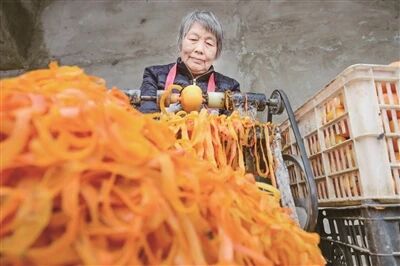 红柿映金秋 柿饼加工忙