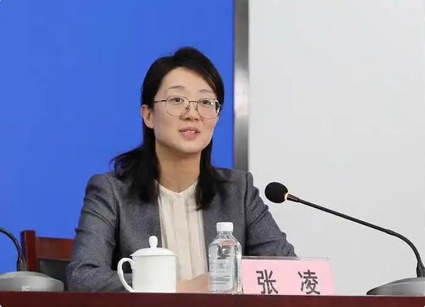 “十五五”期间，国家文物局将持续做好汉魏洛阳故城、隋唐洛阳城等大型城址考古工作