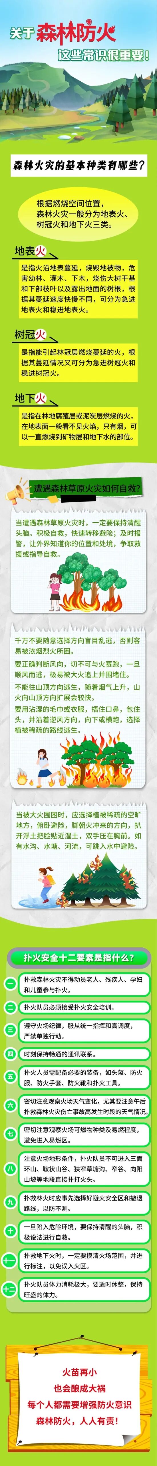 关于森林防火，这些常识很重要！