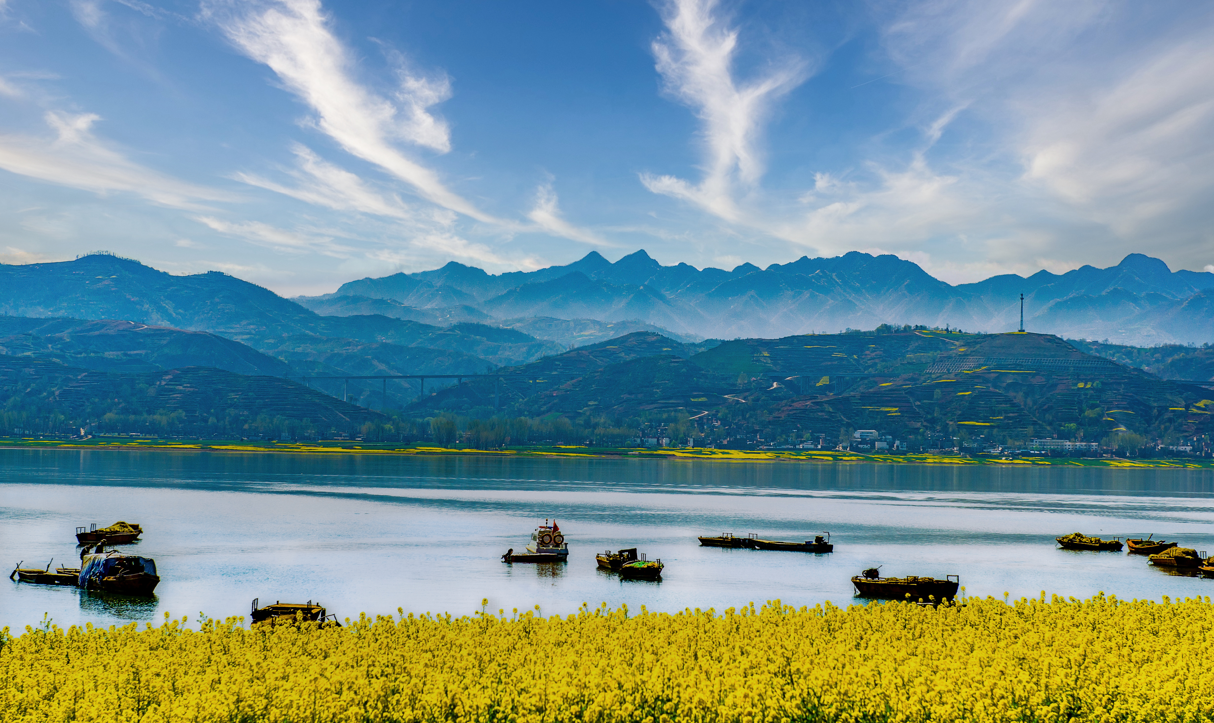 嵩县陆浑湖畔：春日花海与湖光共绘生态图