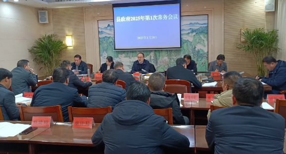 县政府召开2025年第1次常务会议
