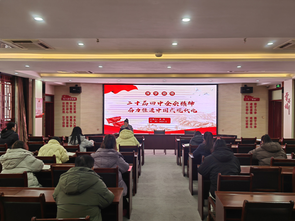 深学细悟凝聚共识 以文化力行担当使命——洛阳民俗博物馆党支部开展专题党课