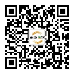 政府信息公开指南