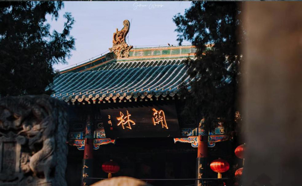 千年礼乐重光，忠义馨香传世｜“天香三献·关林香典”活动回顾