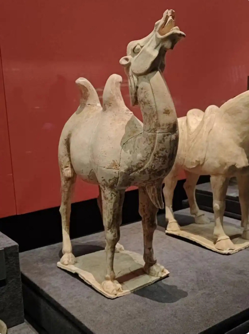 中国考古博物馆展出洛阳偃师杏园唐墓出土的骏马