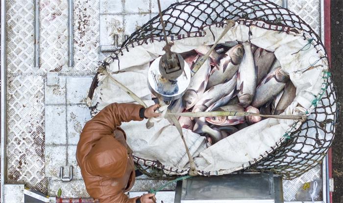 20138746588146073 微信图片_20260130091847_338_32.jpg