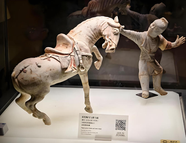 洛阳博物馆彩绘陶驯马俑图片亮相中国妇女儿童博物馆