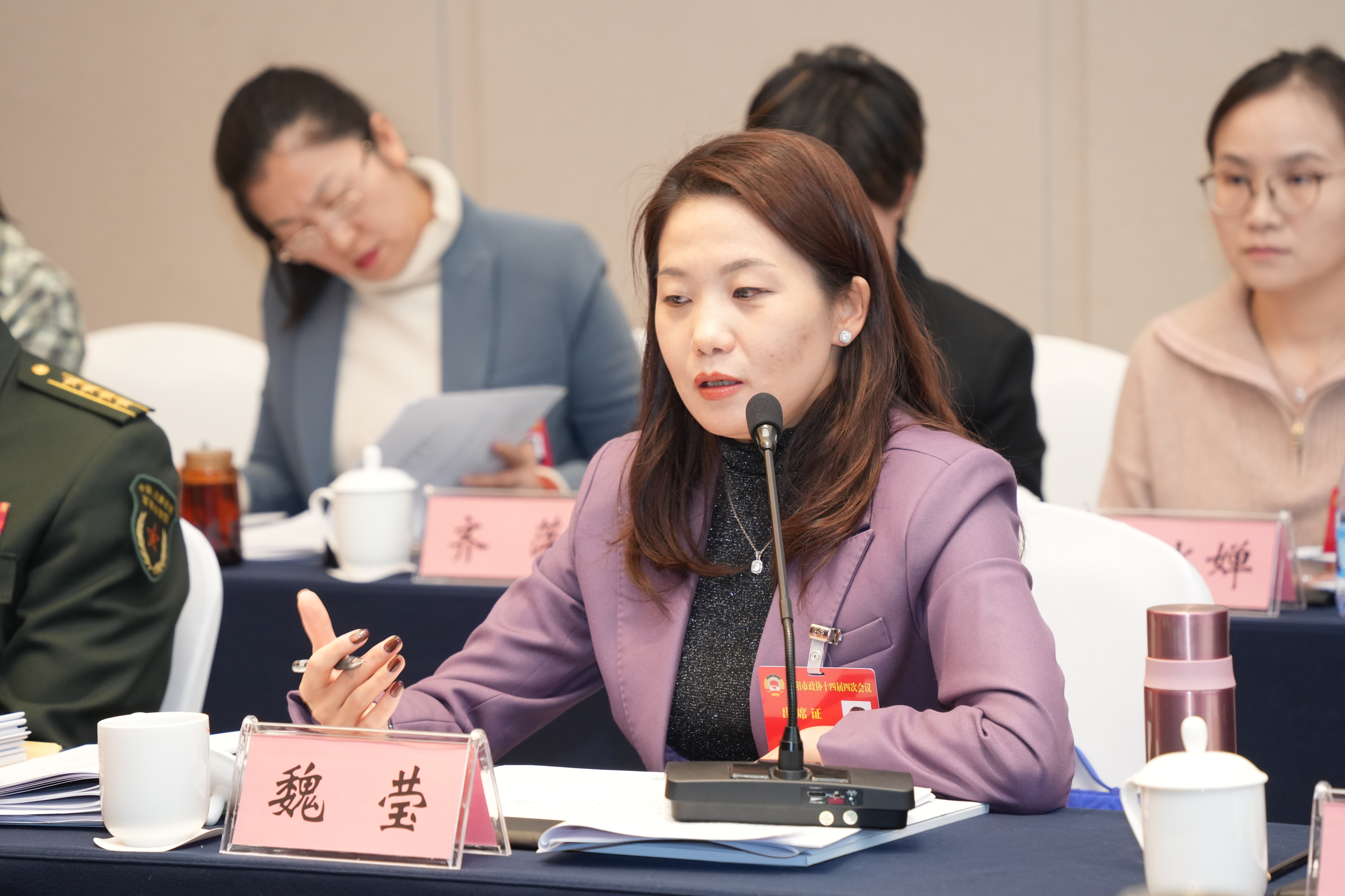 陈春江参加政协联组讨论