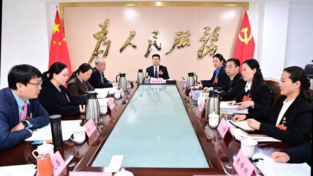 赵书政参加人大代表、政协委员分组讨论