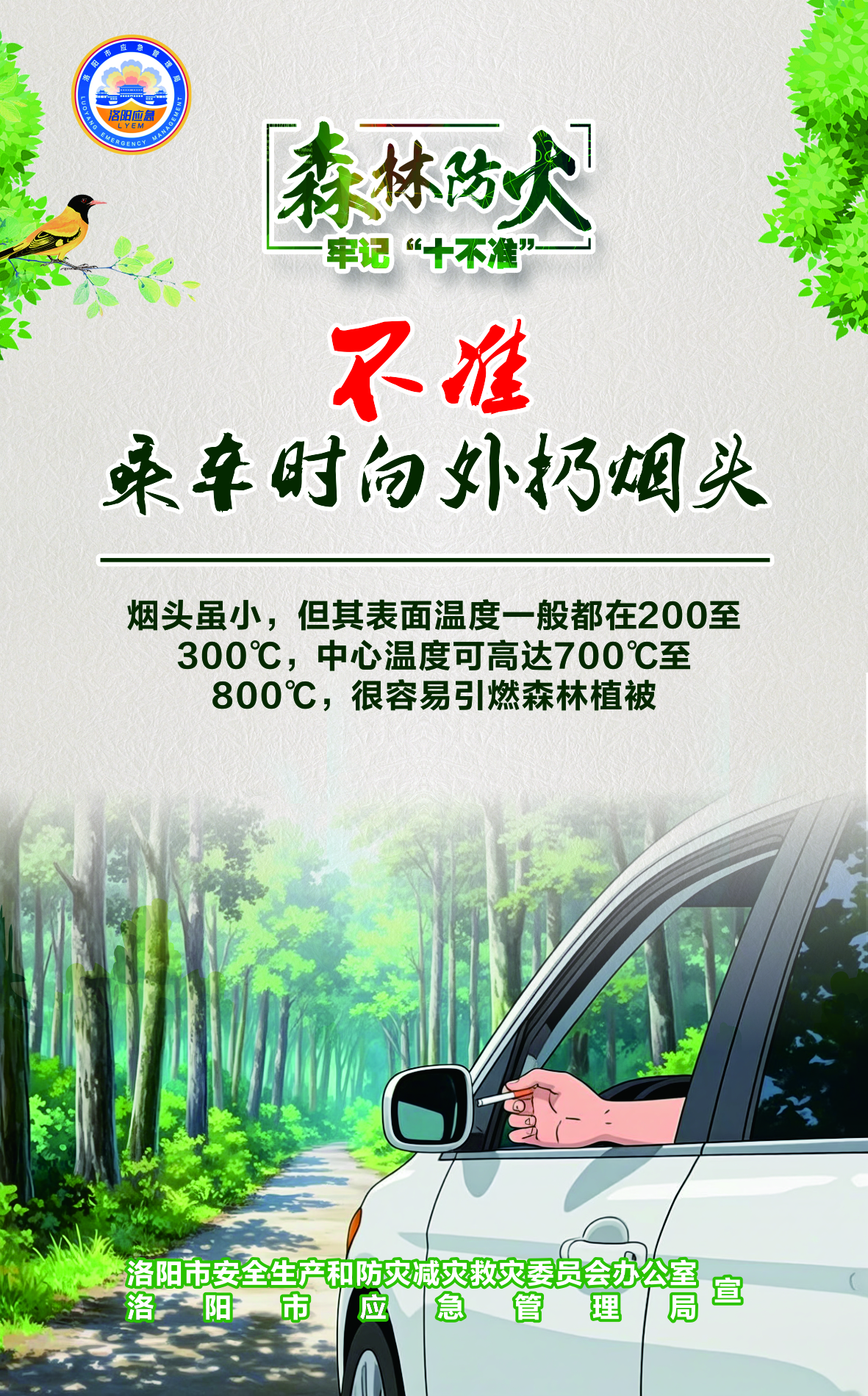 洛阳应急“安全攻略”：森林防火牢记“十不准”