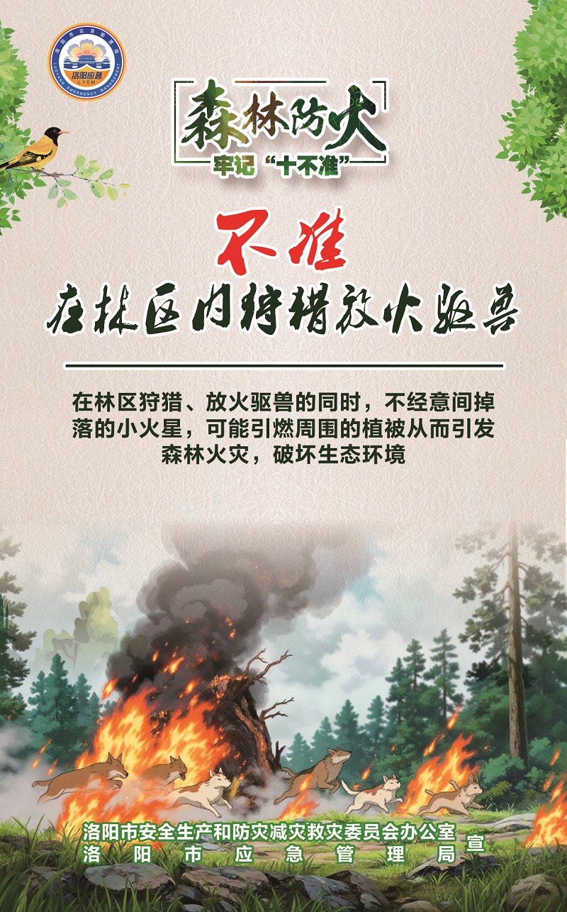 洛阳应急“安全攻略”：森林防火牢记“十不准”