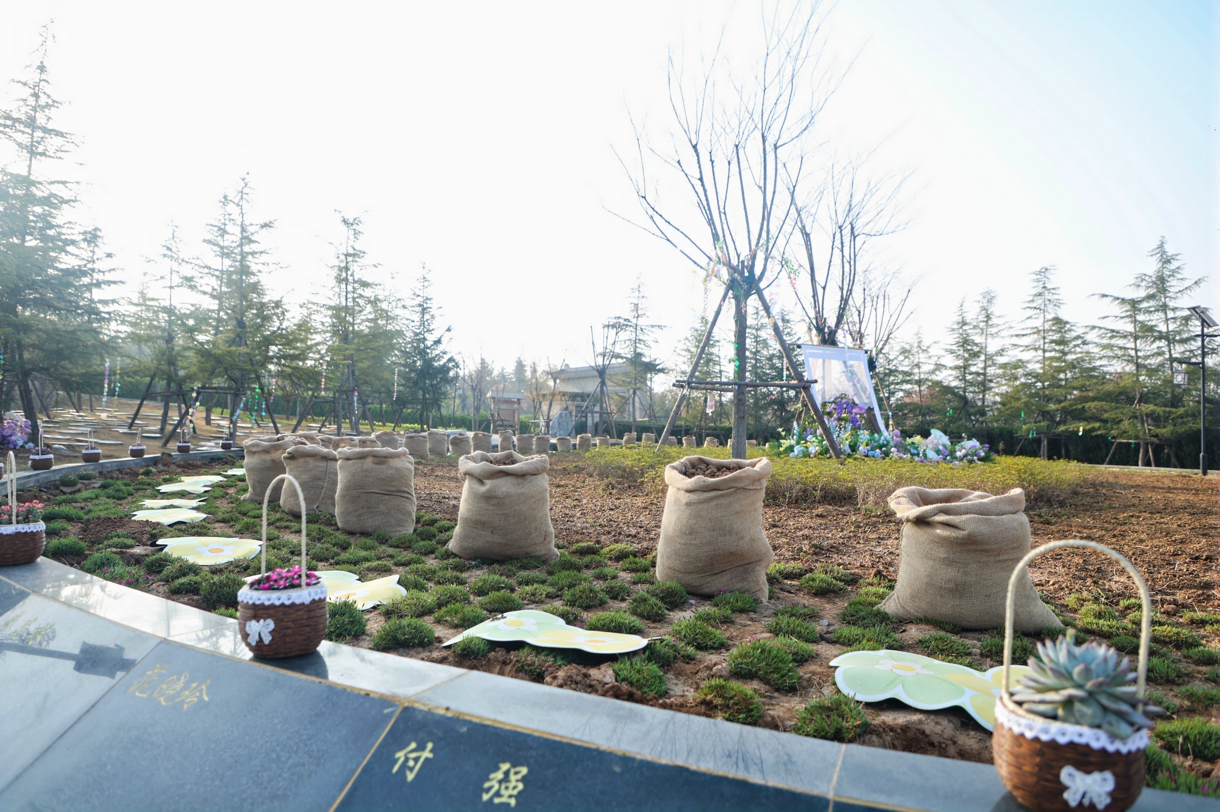 洛阳市第四届生态公益安葬活动举行 洛阳市第四届生态公益安葬活动举行
