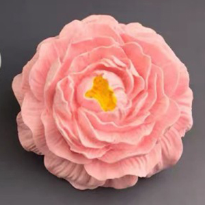 “同心夏一站”·牡丹雅集系列社教活动火热招募中！