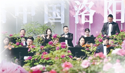 春风作序,共赴一场花开