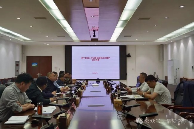 洛宁县召开国土空间规划动态调整方案汇报会