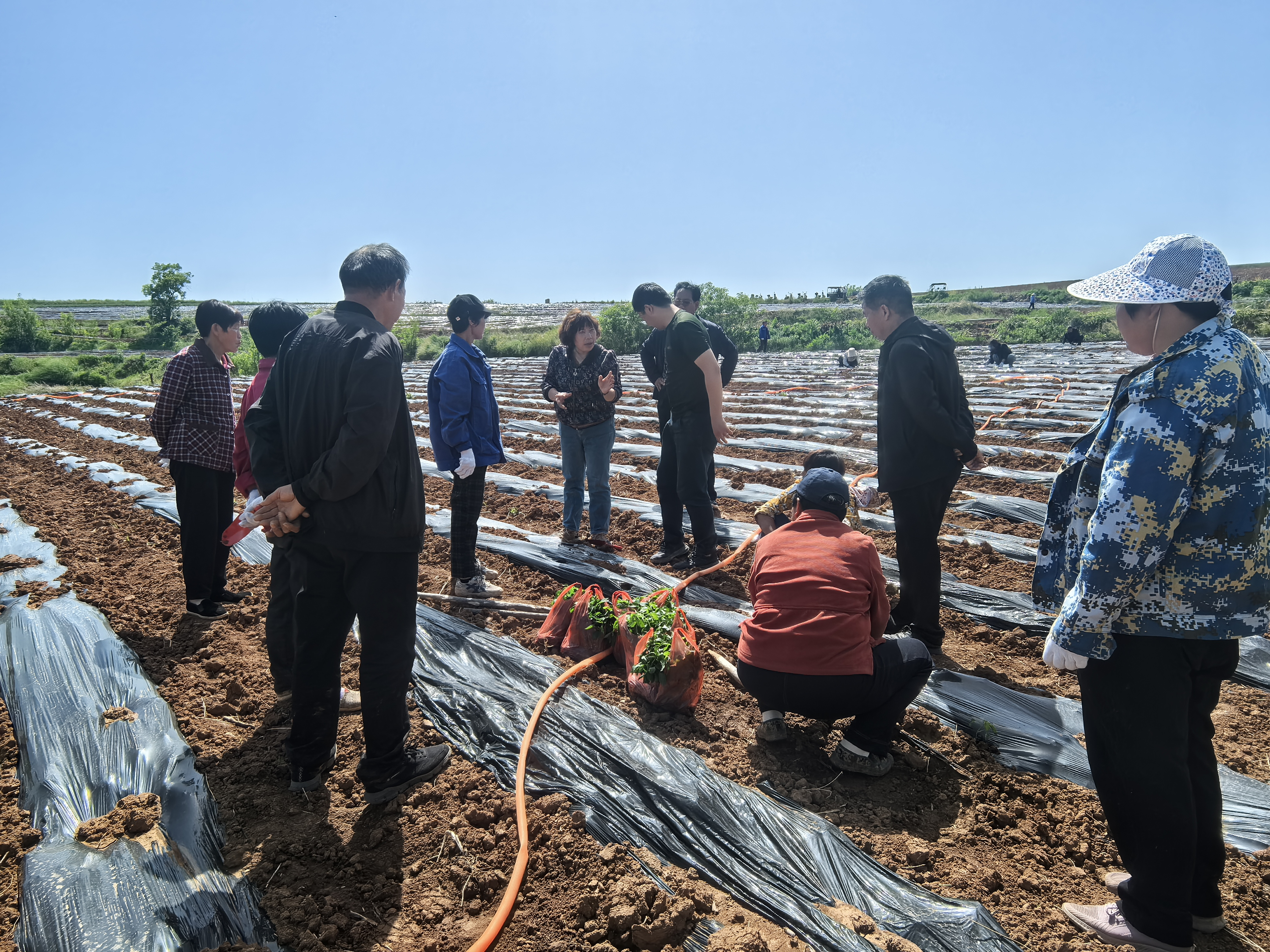 实干破难题 科技强产业 实干破难题 科技强产业