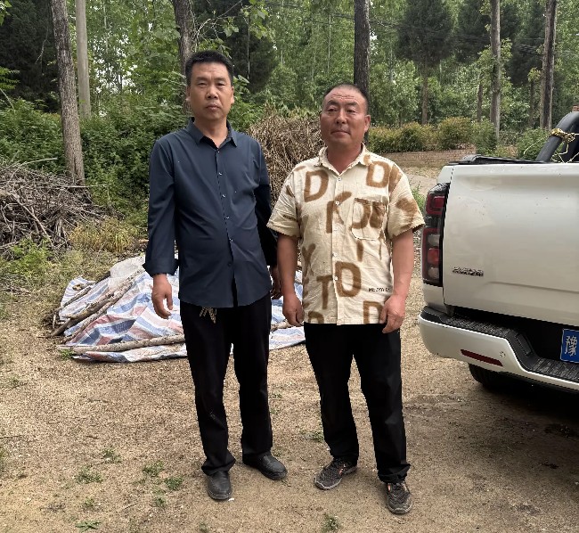 洛宁县成功救助并放归国家二级保护动物中华斑羚 洛宁县成功救助并放归国家二级保护动物中华斑羚