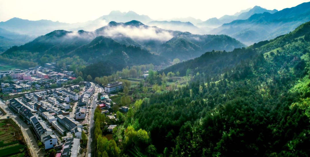 这就是，汝阳