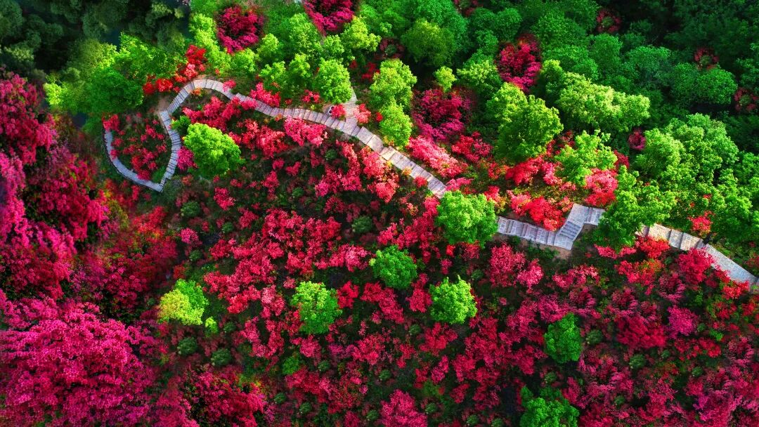 这就是，汝阳